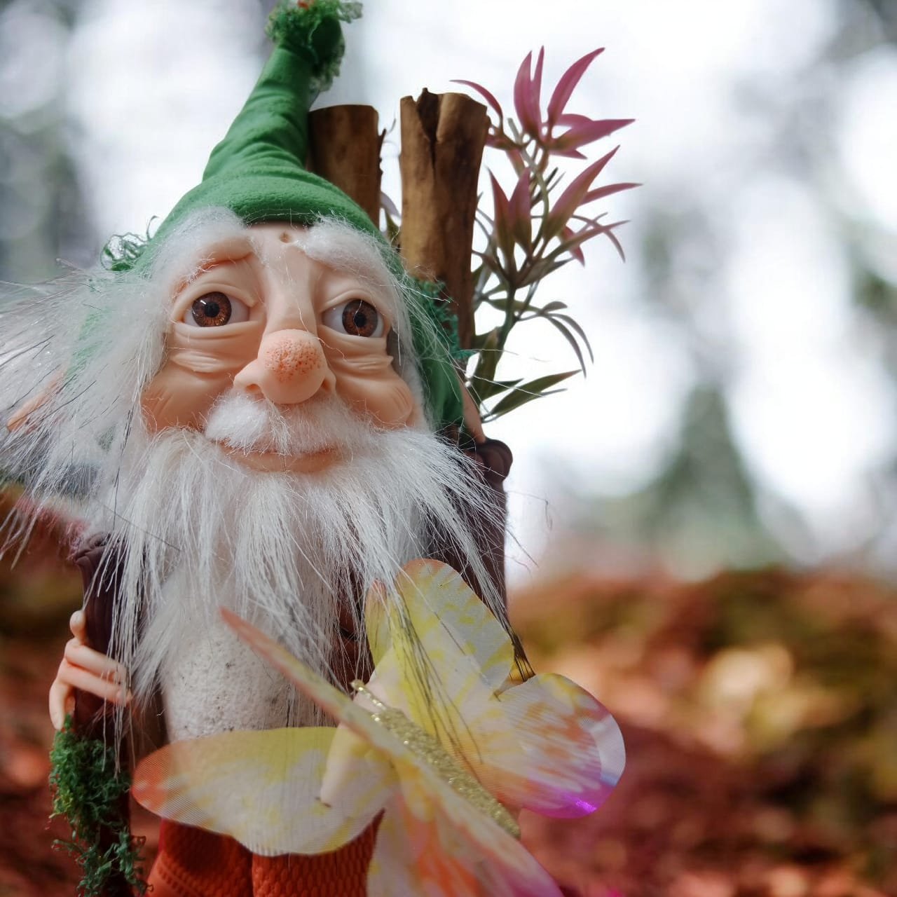 duende de la salud duende de la salud